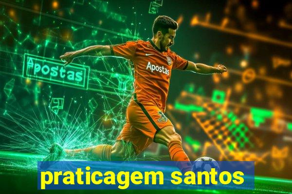 praticagem santos